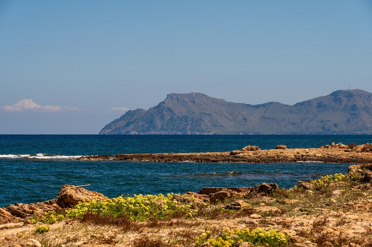 Maiorca