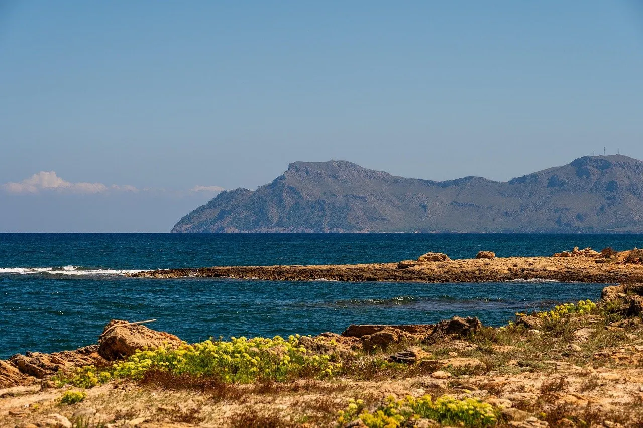 Maiorca